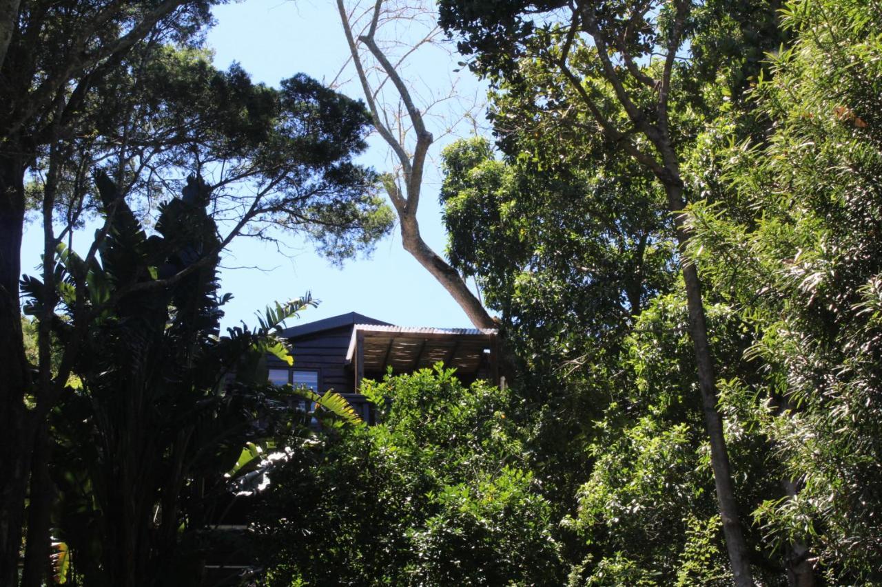 Treehouse Cottage The Crags Exterior photo