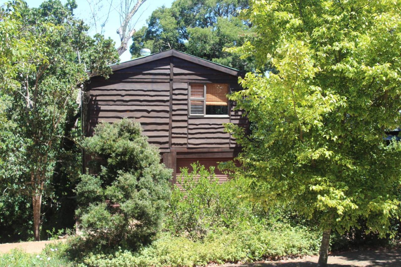 Treehouse Cottage The Crags Exterior photo