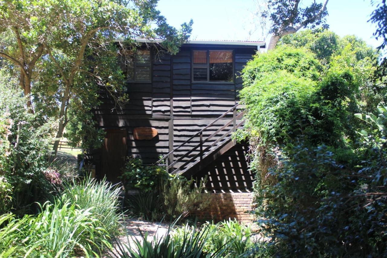 Treehouse Cottage The Crags Exterior photo