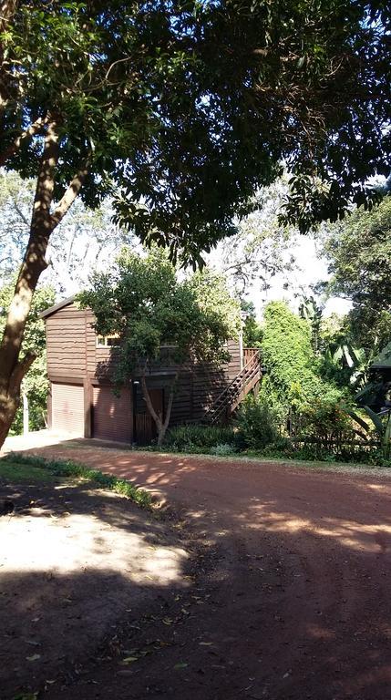 Treehouse Cottage The Crags Exterior photo